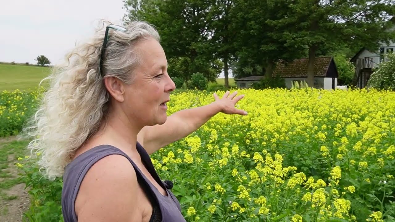 Flowering Has Begun In The New Butterfly Garden! 2½ Months of Work Paying Off :) Nordic Permaculture