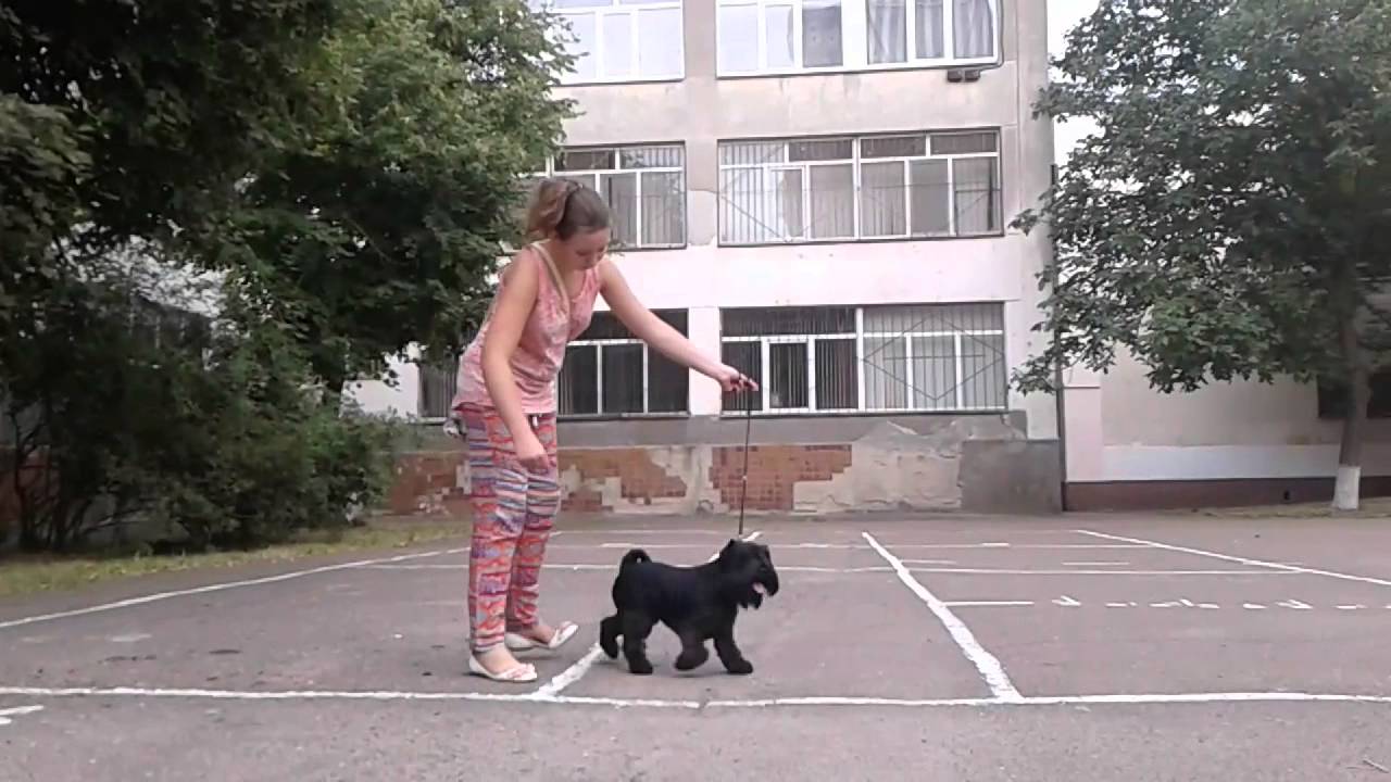 20150823 180628