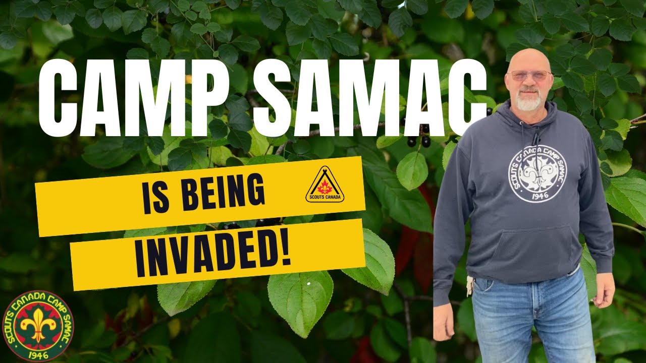 Camp Samac: The Invasive Species Taking Over Our Land