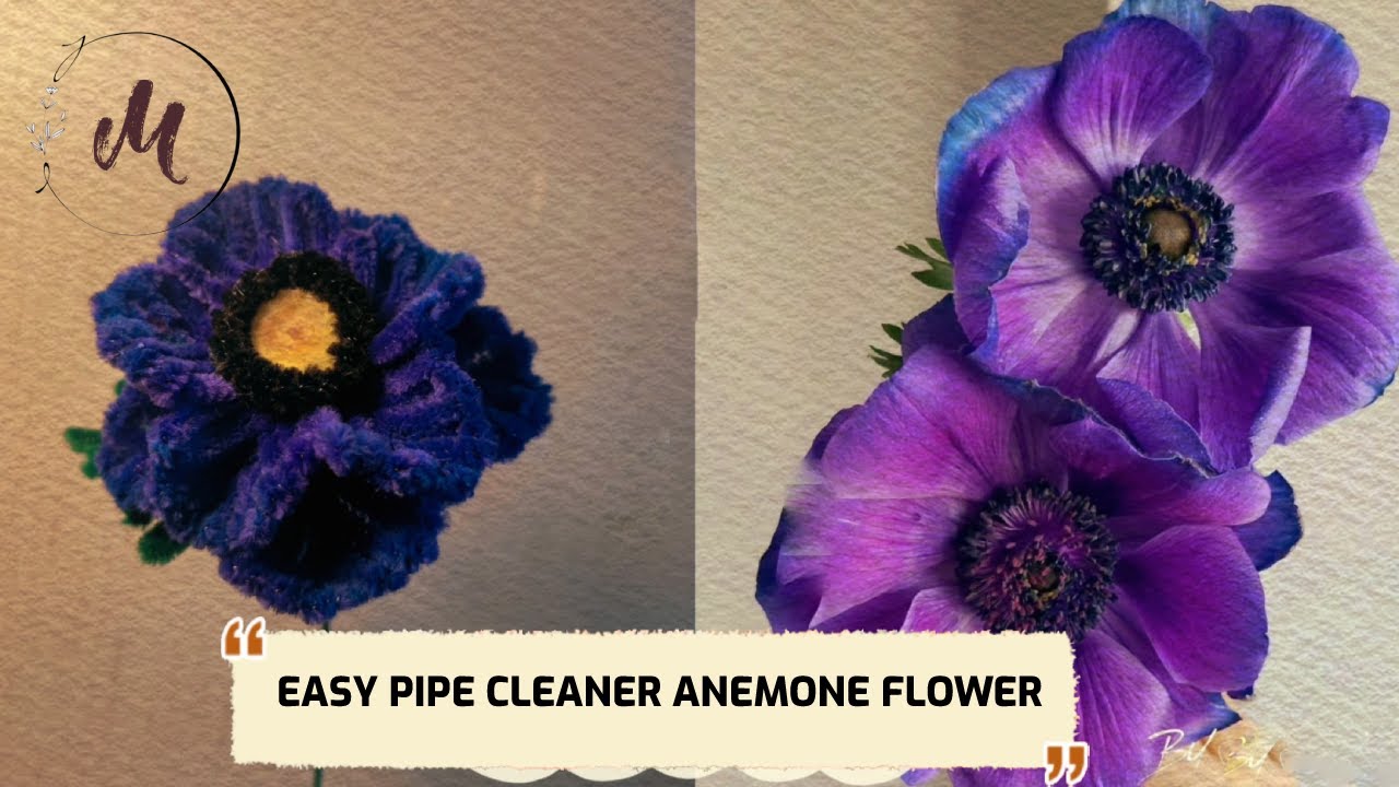Làm hoa hải quỳ từ kẽm nhung / Easy pipe cleaner anemone flower