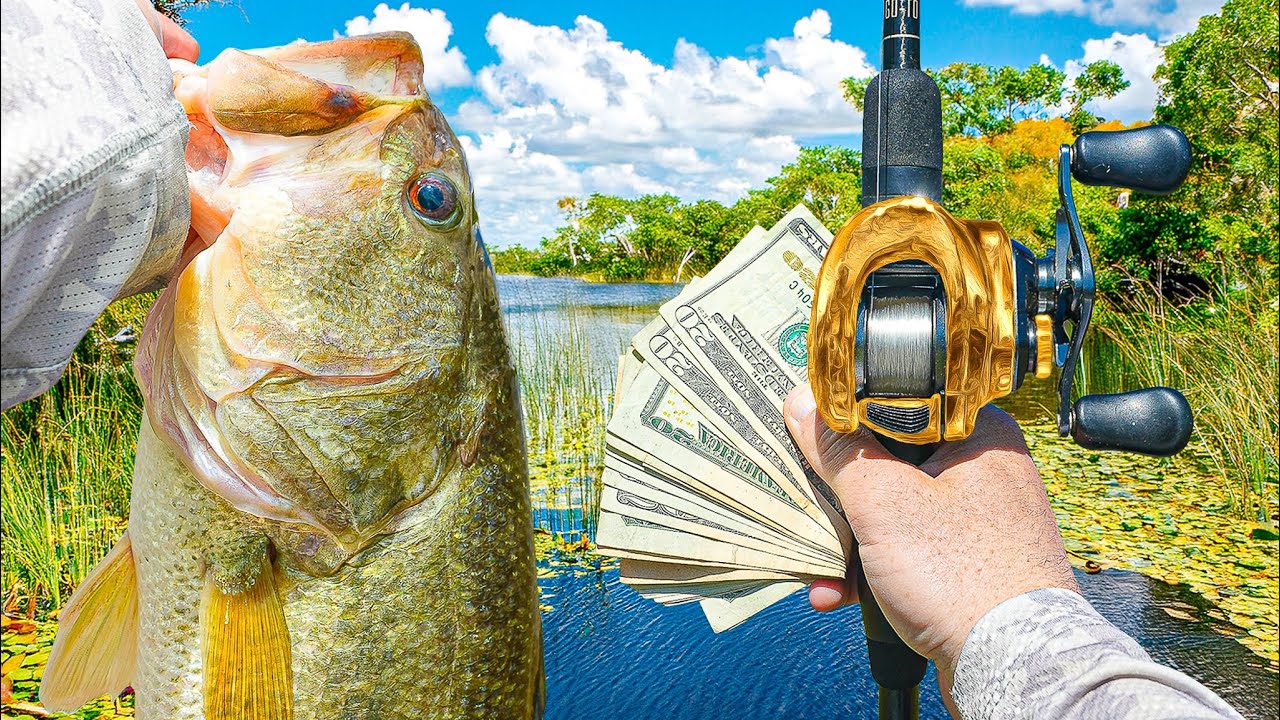 Fishing The First SUMMER Bass Tournament  - Will We Win?