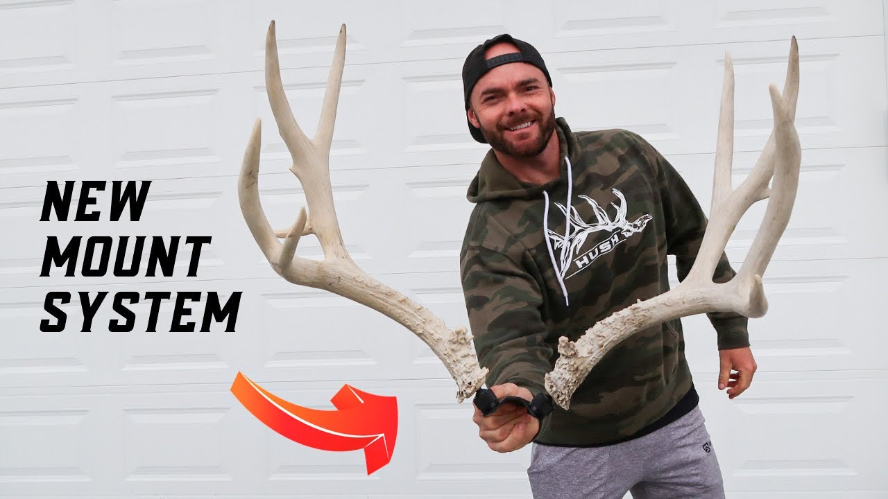 HOW I MOUNT MY SHED ANTLERS | SETS AND SINGLES
