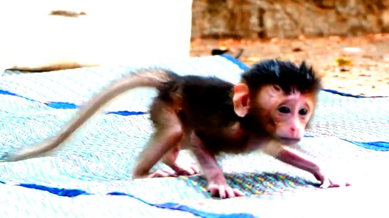 Bravo Martin! Orphan Martin learns to walk without a mom helps orphaned Mary is pity