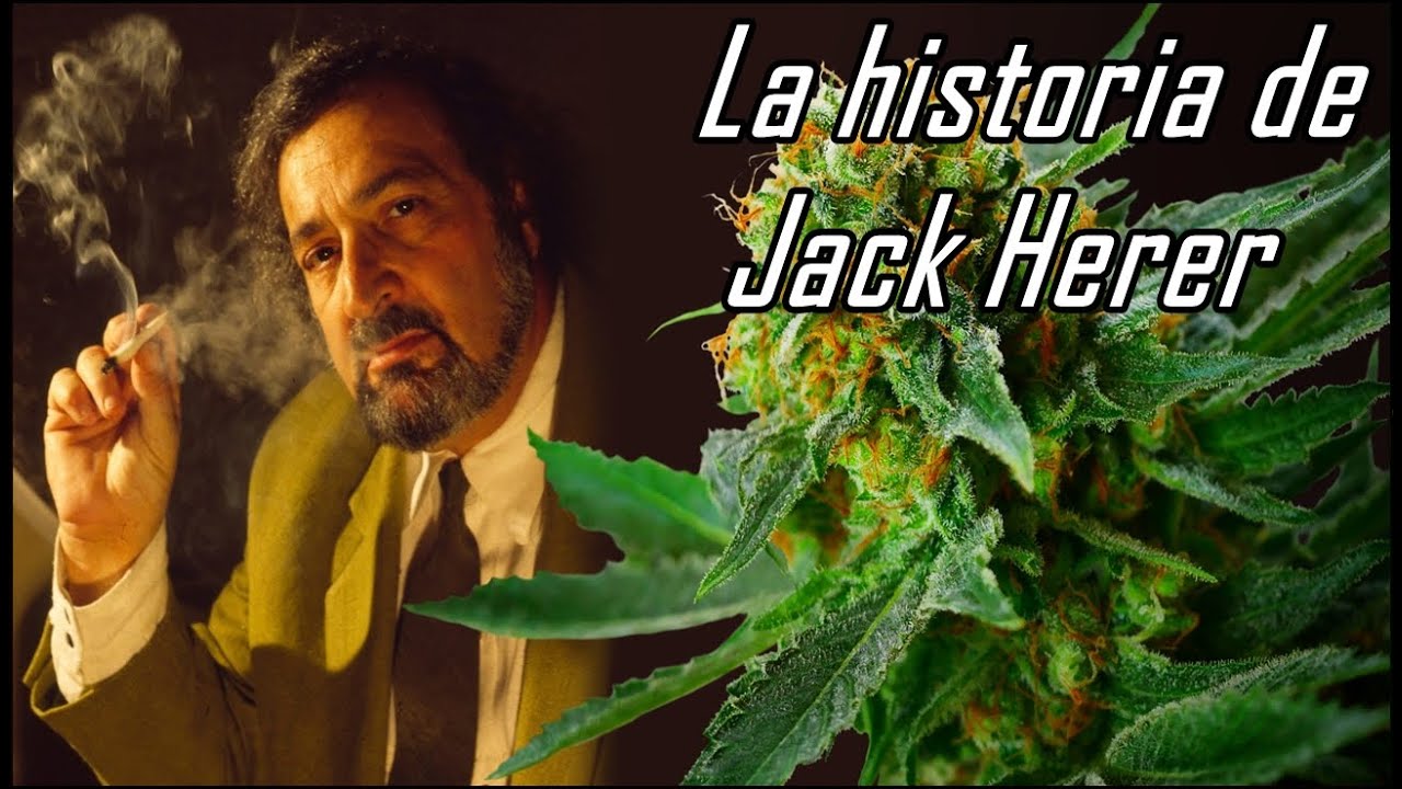 LA HISTORIA DE JACK HERER | EL MEJOR ACTIVISTA