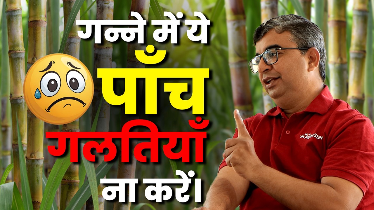 Sugarcane Farming | गन्ने में 800 क्विंटल तक उत्पादन कैसे पाएं? | #agrostar #sugarcane #farming