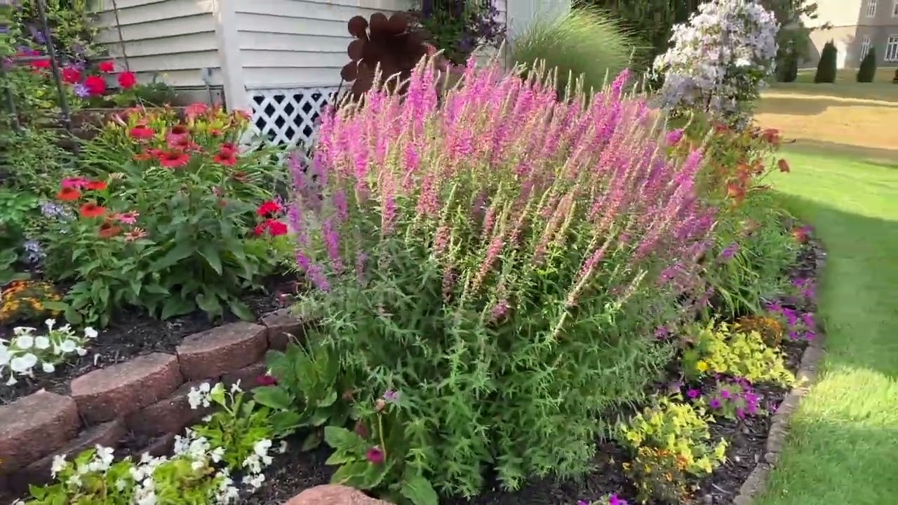 Garden Tour July 2022