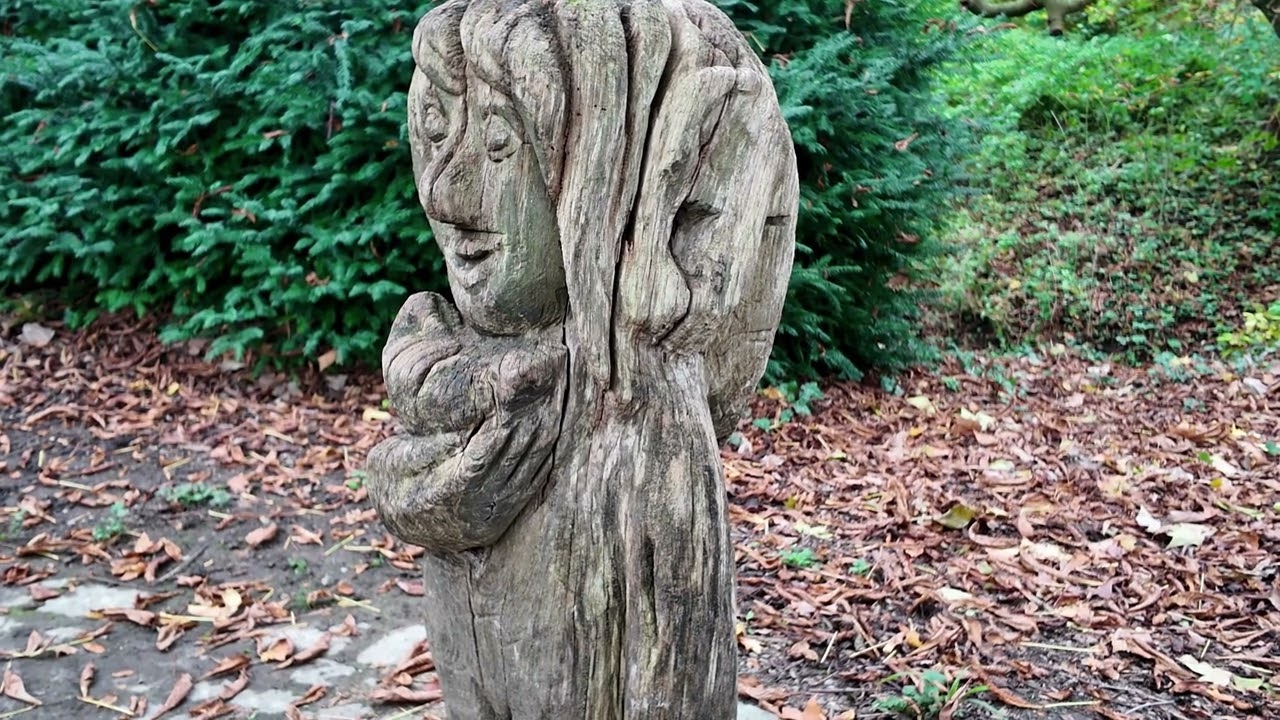 Herbstimpressionen  im Rombergpark Dortmund 2025