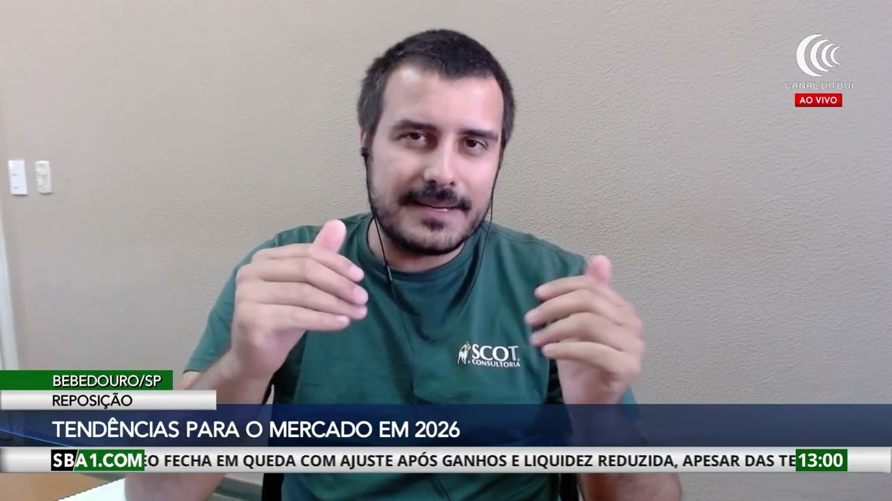 Boi Gordo: 2025 &eacute; marcado pelo alto abate de f&ecirc;meas, exporta&ccedil;&otilde;es recordes e tarifa&ccedil;o americano