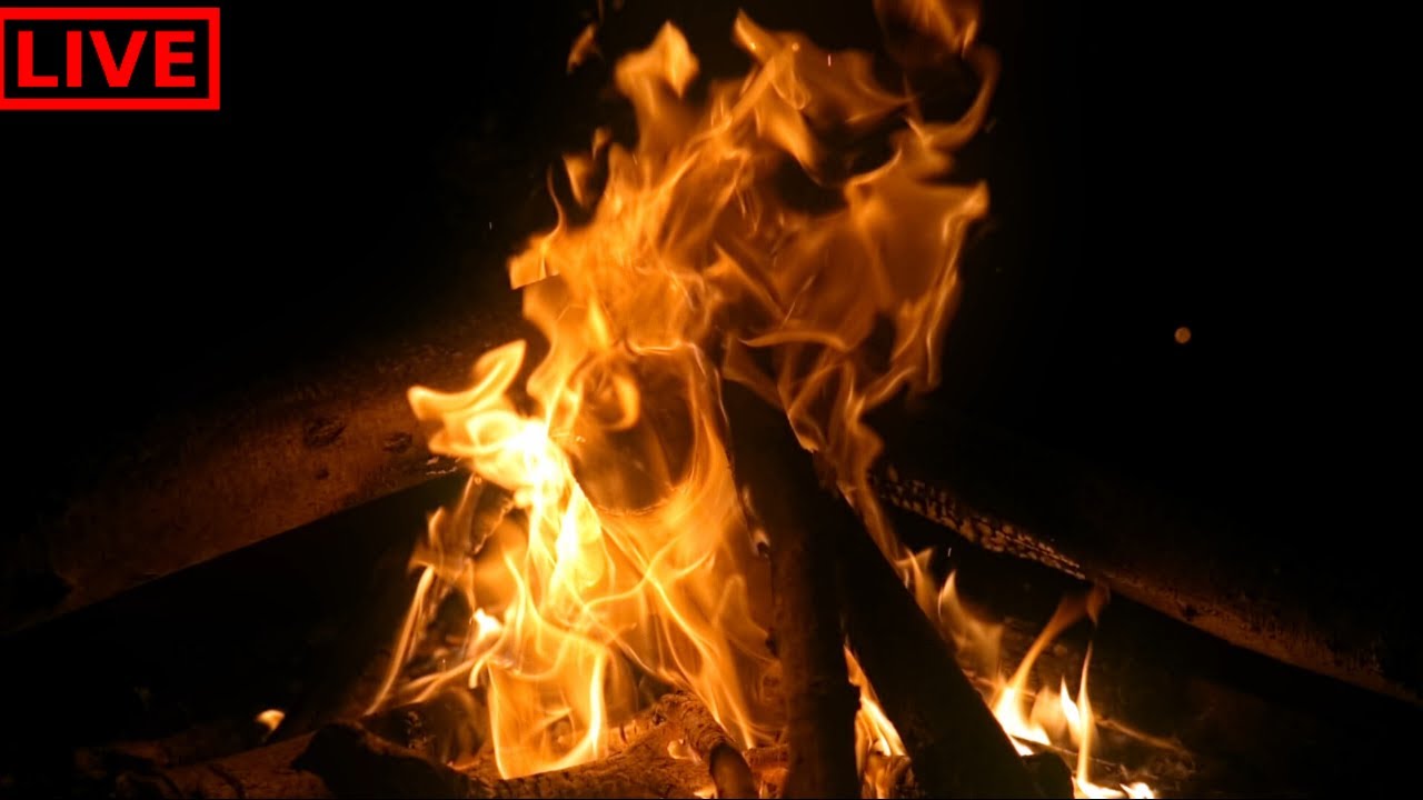 🔥 Cozy Fireplace LIVE – Real Crackling Fire Sounds