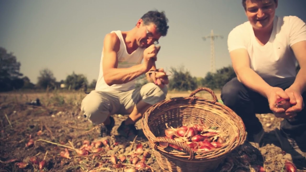 RESTAURANT INTENSE | Hommage an die Pfalz | Commercial Image Movie