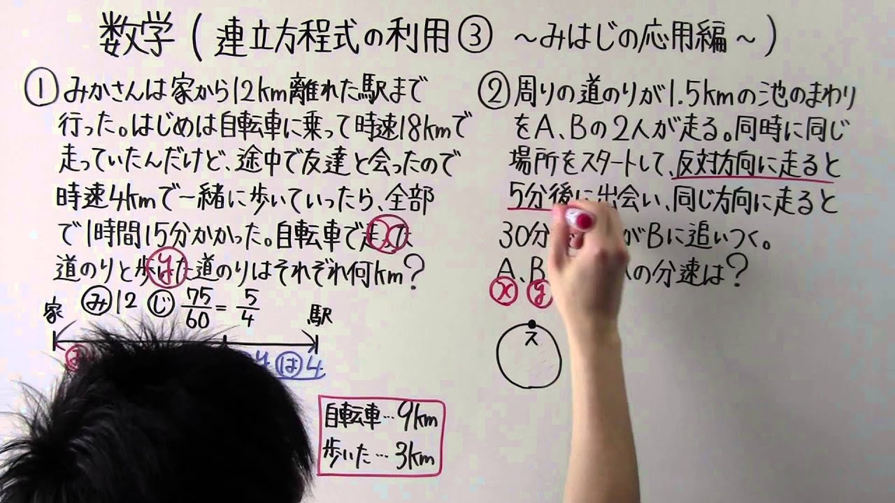 【数学】中2-22 連立方程式の利用③ みはじの応用編