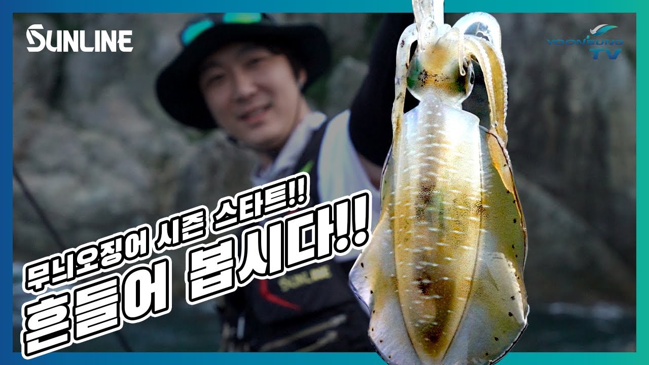 무늬오징어 캐스팅 게임 시즌 스타트!! 흔들어 봅시다!!