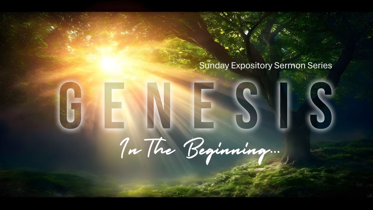 The Ark of Noah | Genesis 6:11-17