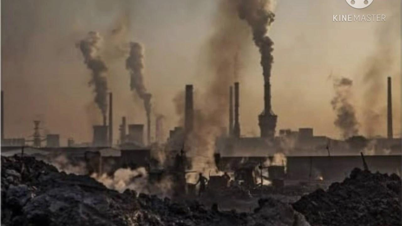 FUNCIONES Y PROBLEMAS DEL SECTOR INDUSTRIAL Y SUS RAMAS