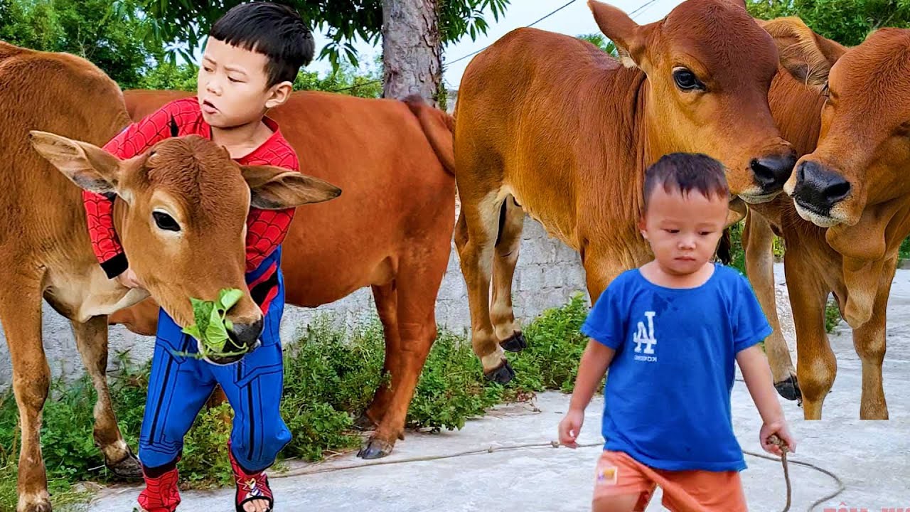 con b&ograve;  -  tổng hợp nhạc con b&ograve; - b&agrave;i h&aacute;t con b&ograve; hay nhất - danh s&aacute;ch nhạc con b&ograve; remix