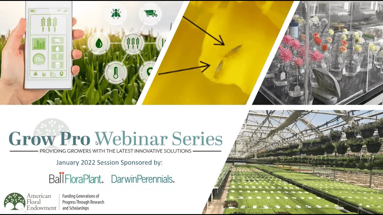 Grow Pro Series: Successful Handling and Propagation of Unrooted Cuttings