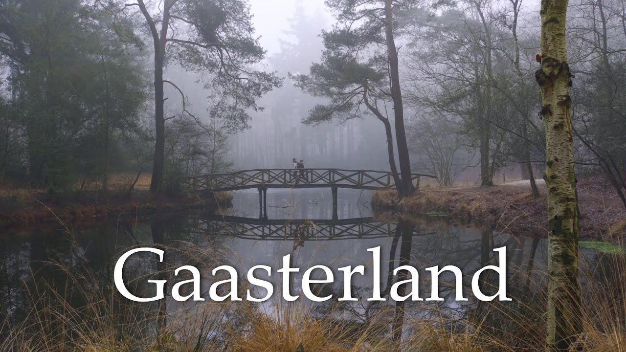 Silent Hiking Through a Misty Forest in Gaasterland