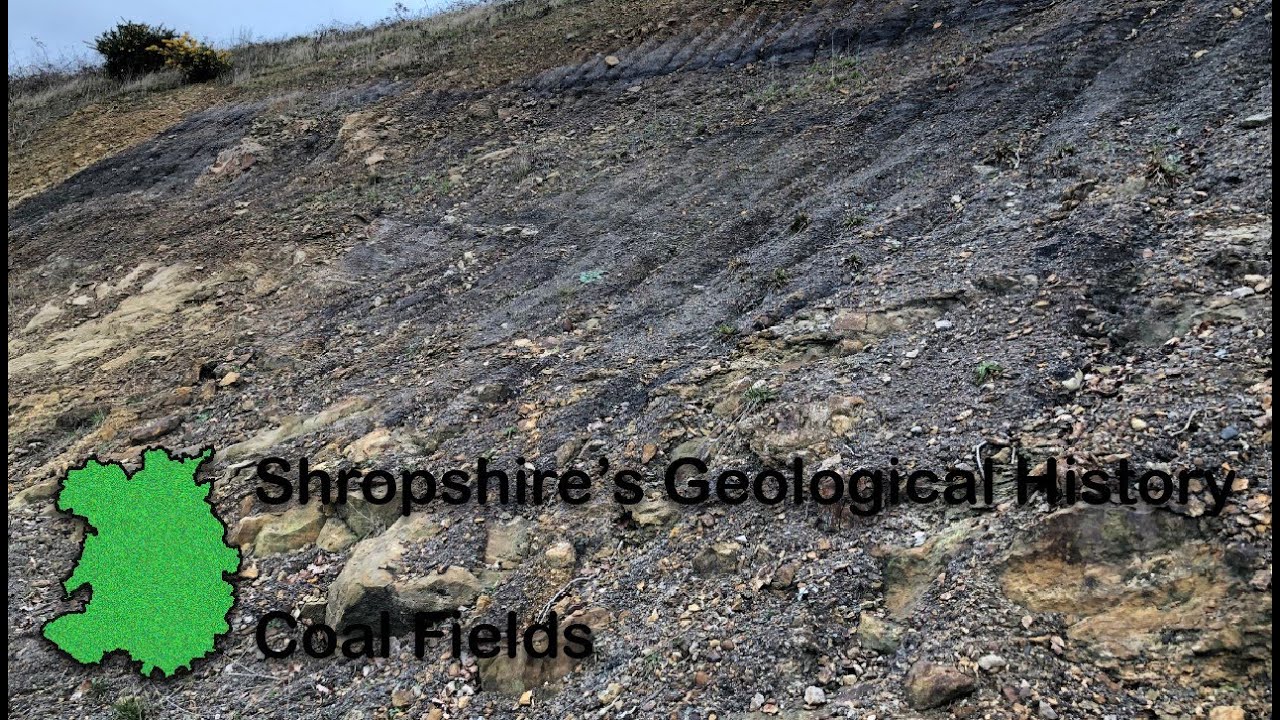09 Coal Fields
