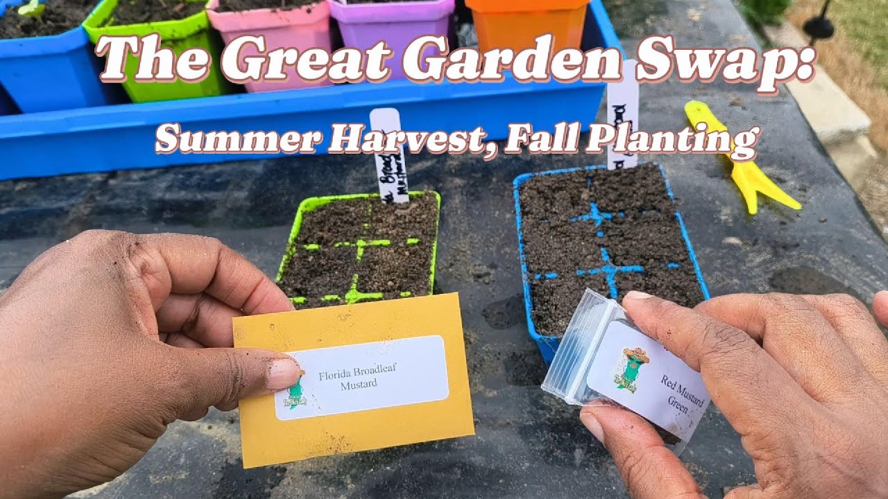 The Great Garden Swap: Summer Harvest, Fall Planting
