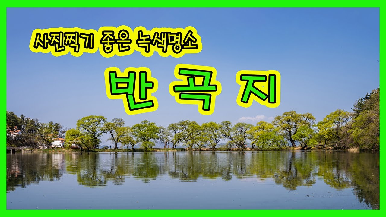 사진찍기 좋은 녹색명소 경산반곡지