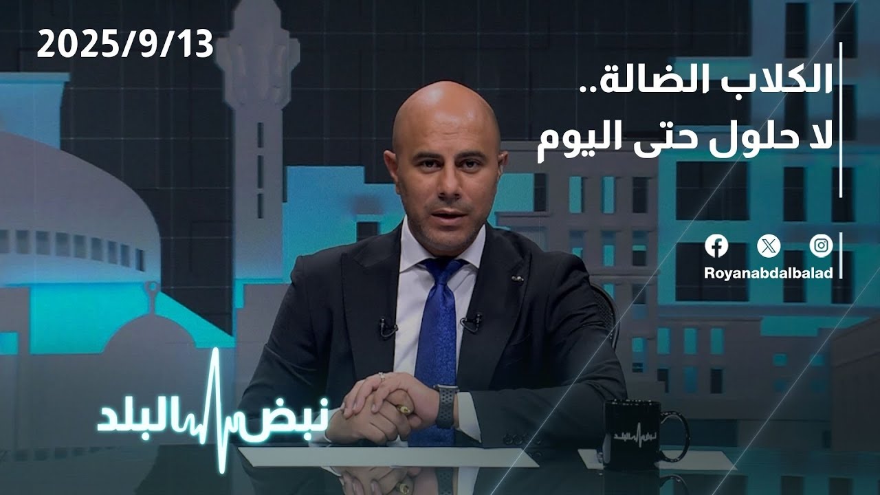 نبض البلد | الكلاب الضالة في الأردن.. أزمة بلا حلول!