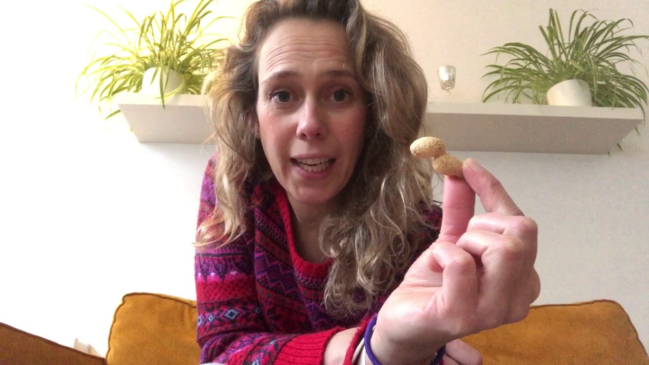 Een pindaslinger maken