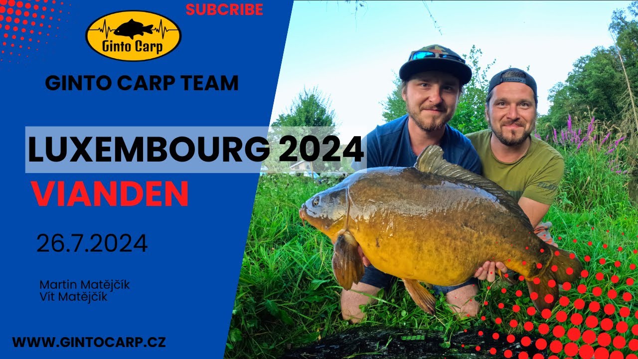 Fishing in Luxembourg/Vianden 2024/Rybaření na řece/Carp Fishing/L´Our river/Ginto Carp Team/Kapraři