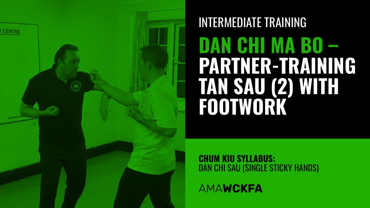 Single Sticky Hands | Footwork Drills #2