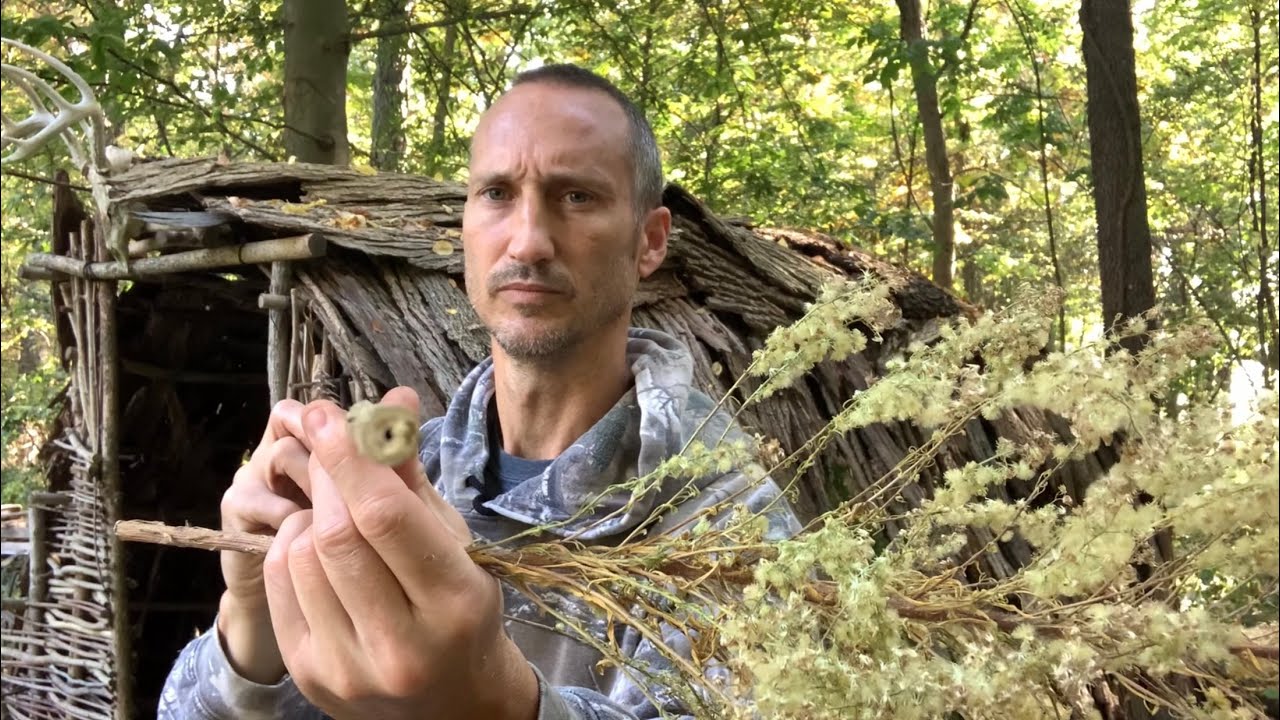 Preparing Horseweed for Hand Drill: 3 Embers