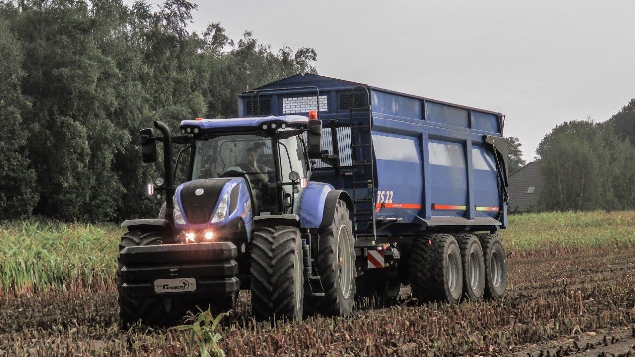 Kukurydza na kiszonkę☆G.R Chojeccy☆ Newholland FR 650 w akcji☆Zadyma na polu?! Blue💙 zestaw☆ATK!