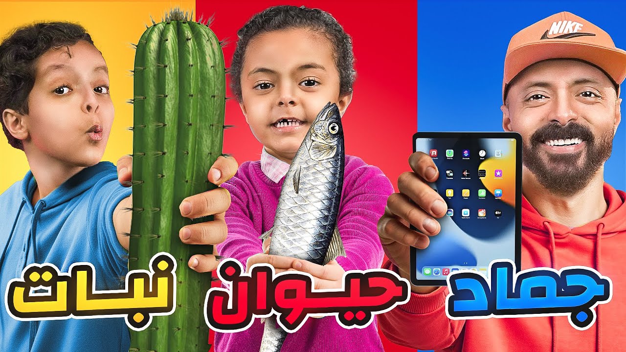 مين فينا طلع أذكى ⁉️ تحدي نبات ولا جماد ولا حيوان خربها! 🧠🔥