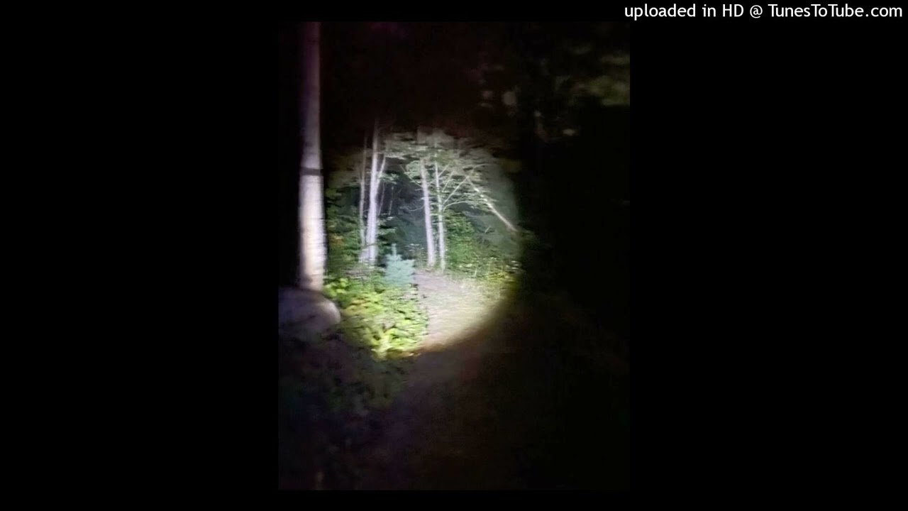 [FREE FOR PROFIT] SEMATARY x GHOST MOUNTAIN type beat - 