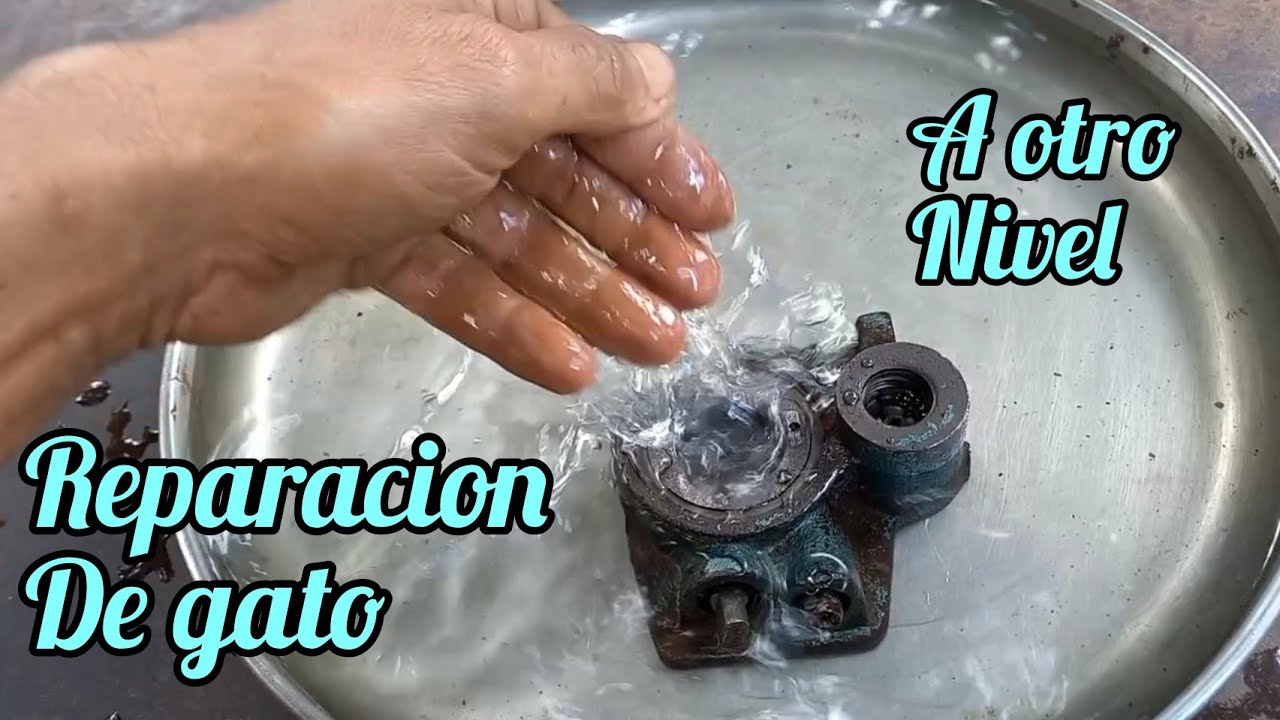 Reparación de gato botella. Nivel avanzado...