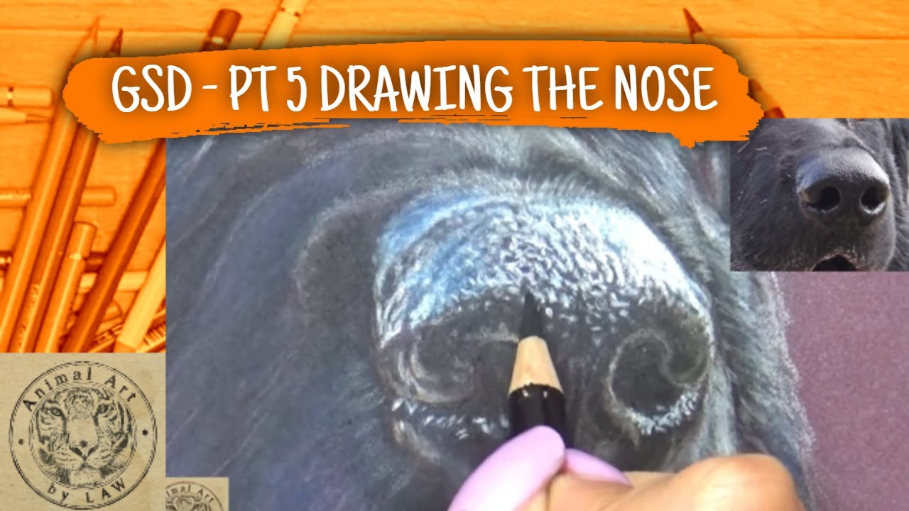 How to Draw a Realistic Dog Nose -  Colored Pencil Tutorial