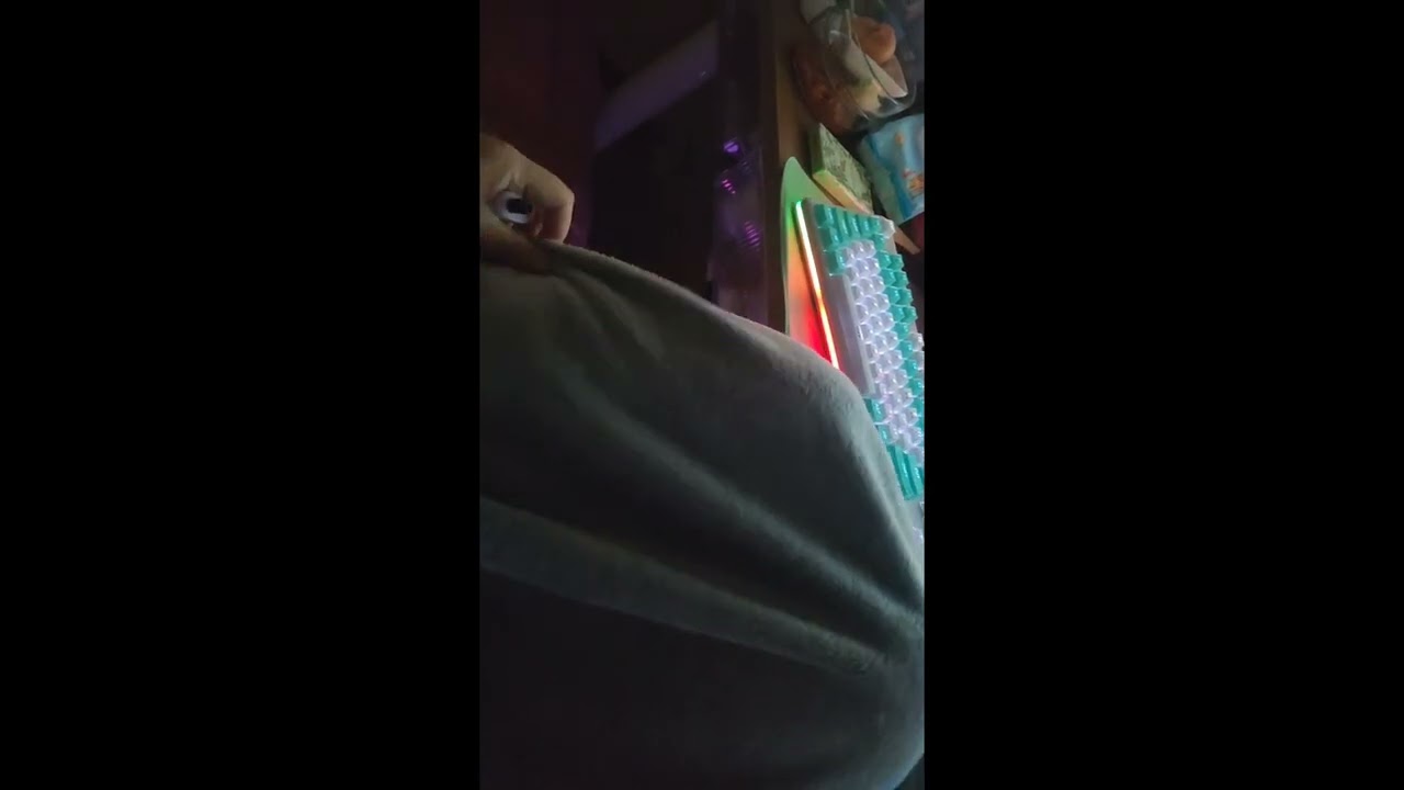 컴터책상 앞 1인2묘 쇼파 토퍼깔기