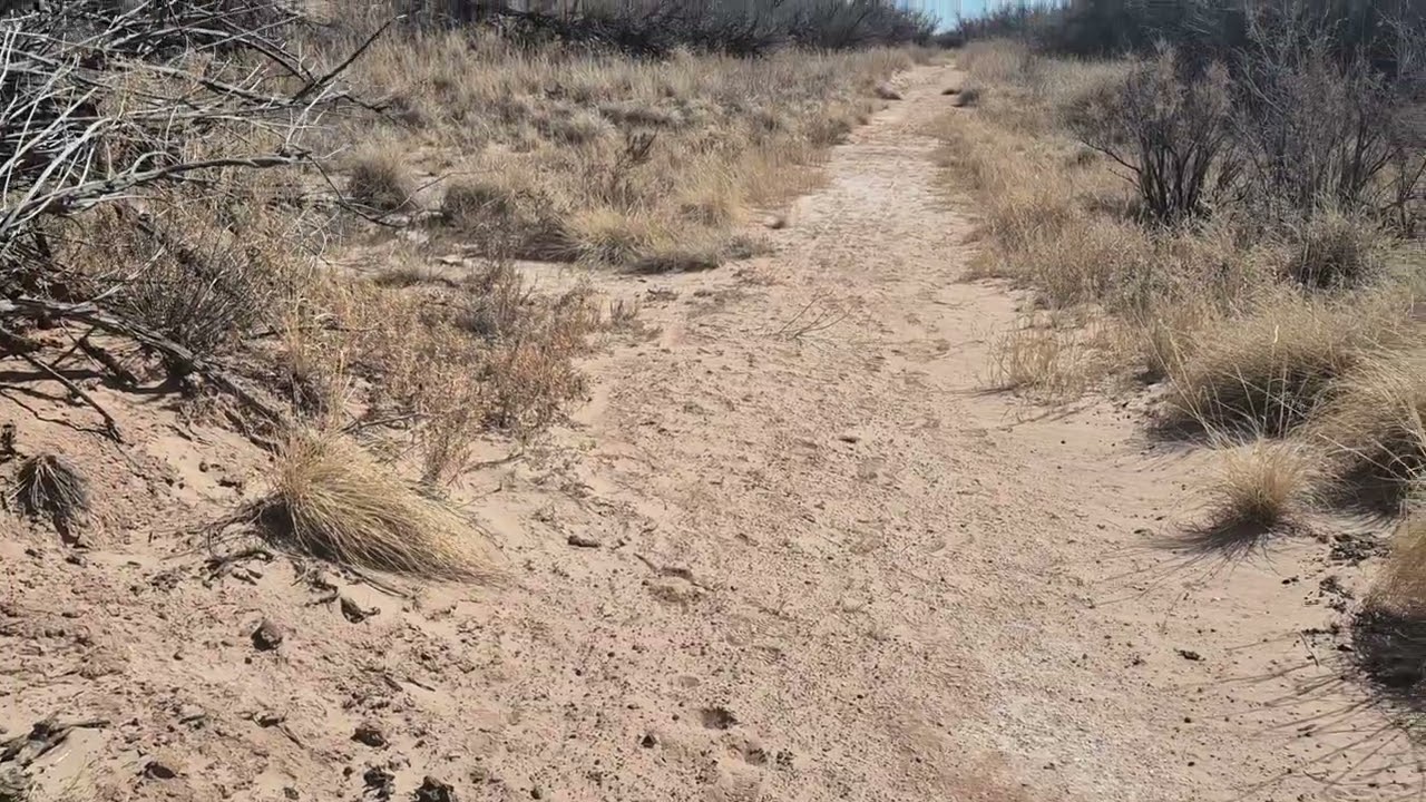 Los aventureros  Roxbory  park Roswell  NM 