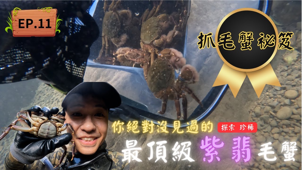 【4K】高山抓毛蟹攻略，最頂級高山 