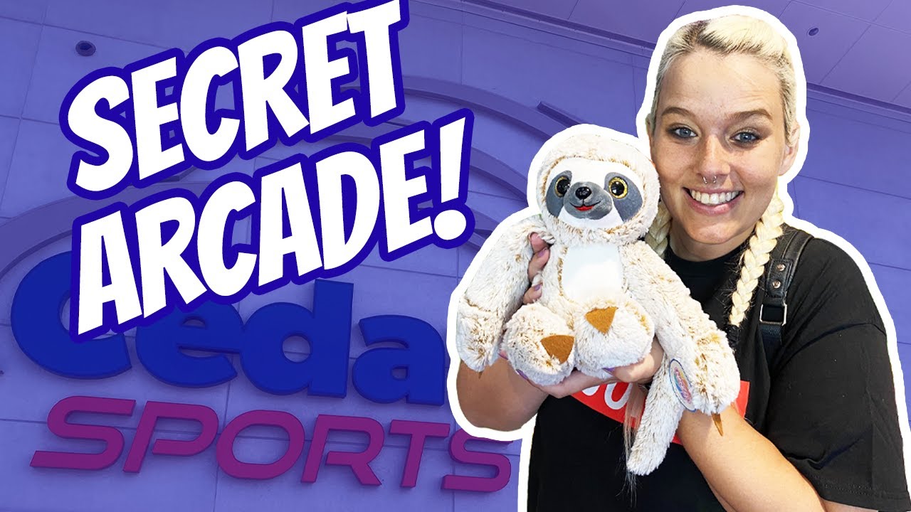 We Found a SECRET ARCADE at Cedar Point!