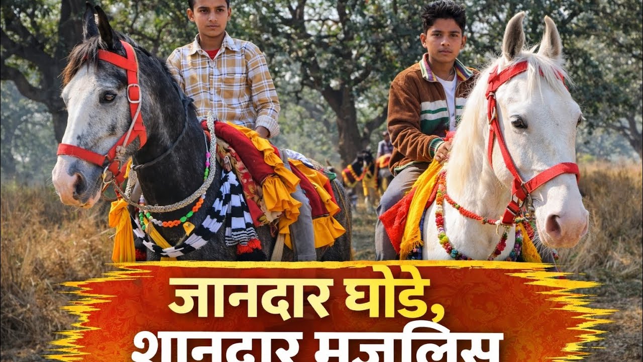 जानदार घोड़ों की शानदार मजलिस 