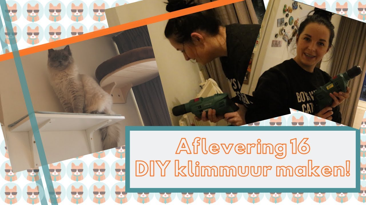 Afl. 16:  DIY Klimmuur maken. Maak low-budget een klimmuur voor katten!
