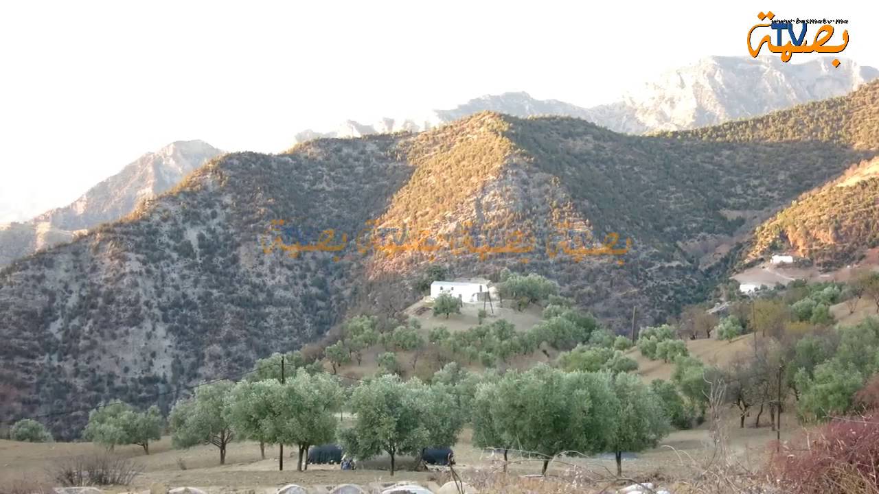 جمال بلادي تاونات -المغرب(بصمة تفي)