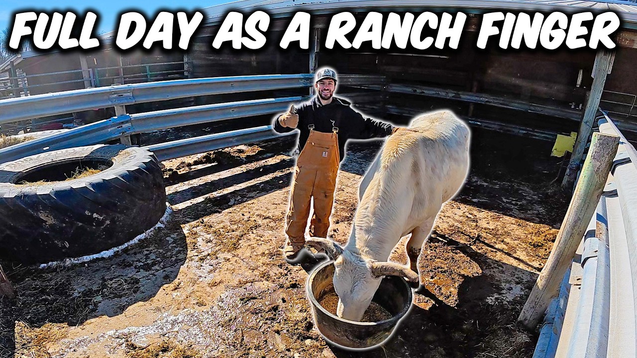 A Full Day as a Ranch Hand in Ohio