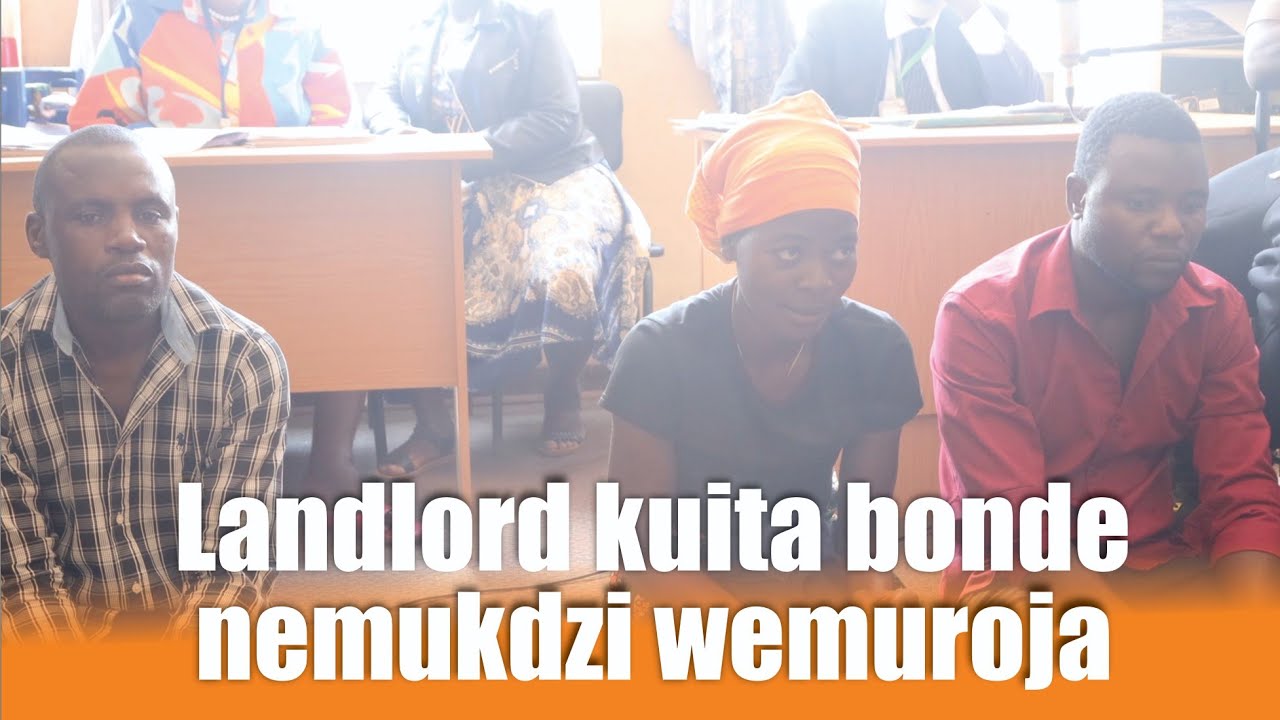 Landlord wekuita bonde nemuroja ozvamburwa mombe nhatu nehwai nedare raMambo Ngezi