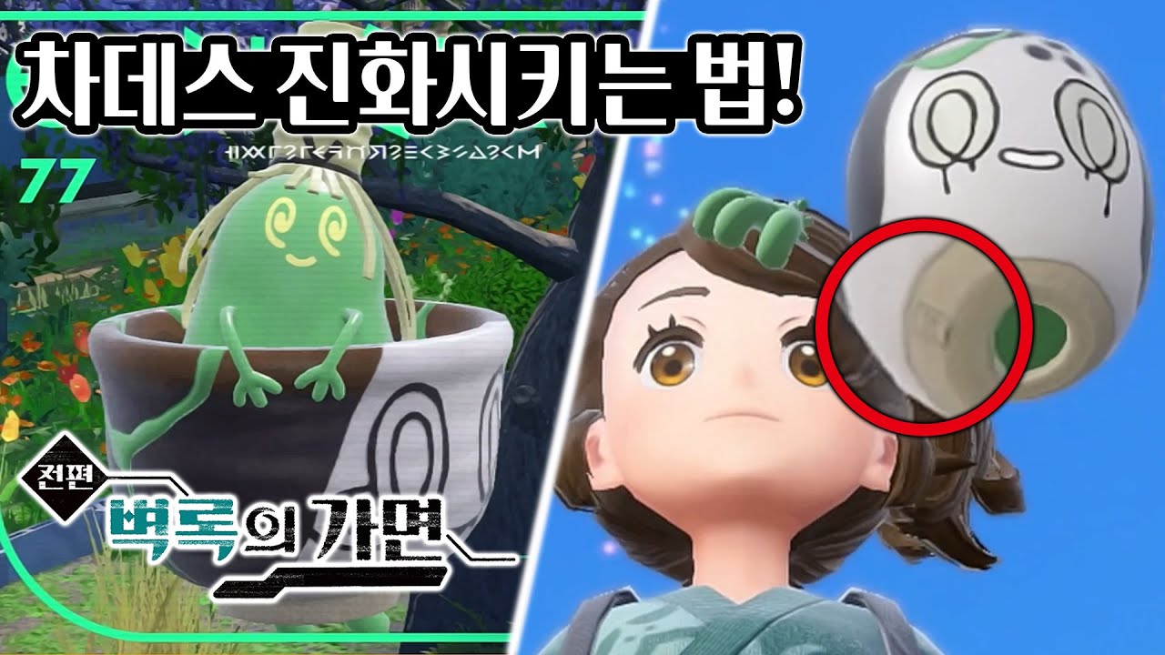 포켓몬 스칼렛 바이올렛 [벽록의 가면] 차데스 그우린차 진품 가품 진화시키는 법!