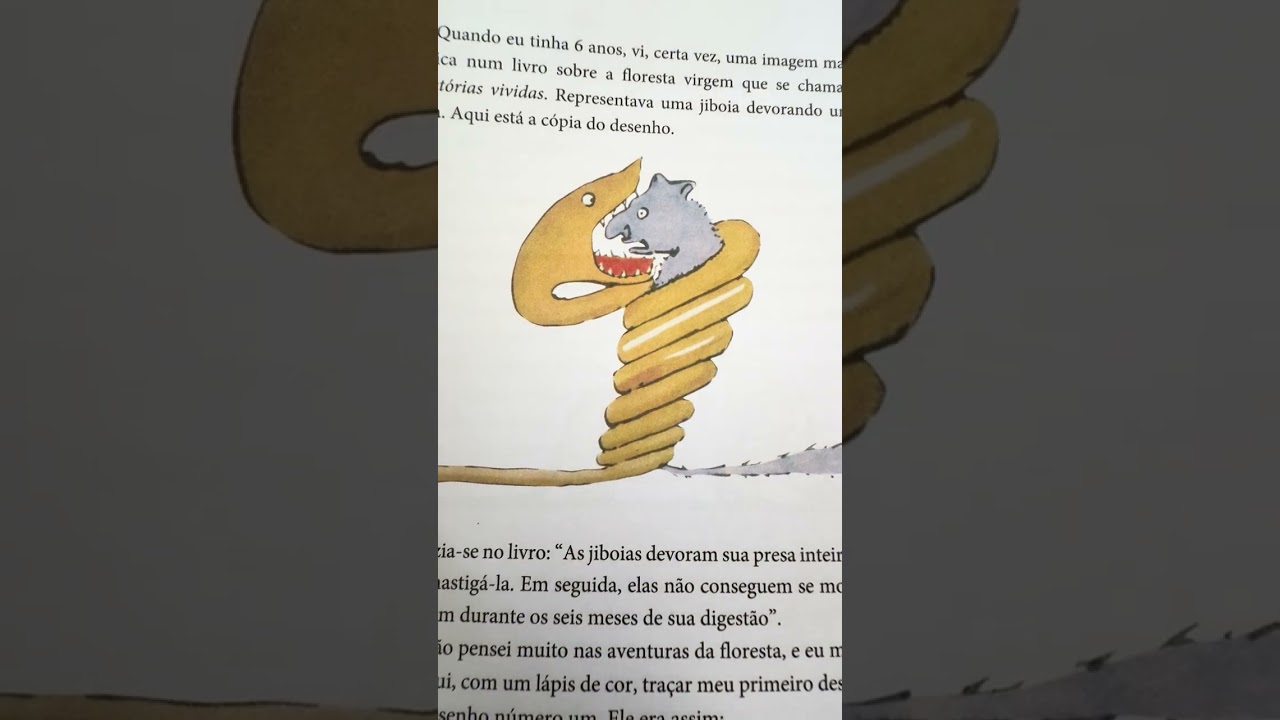 O Pequeno Principe - parte 1