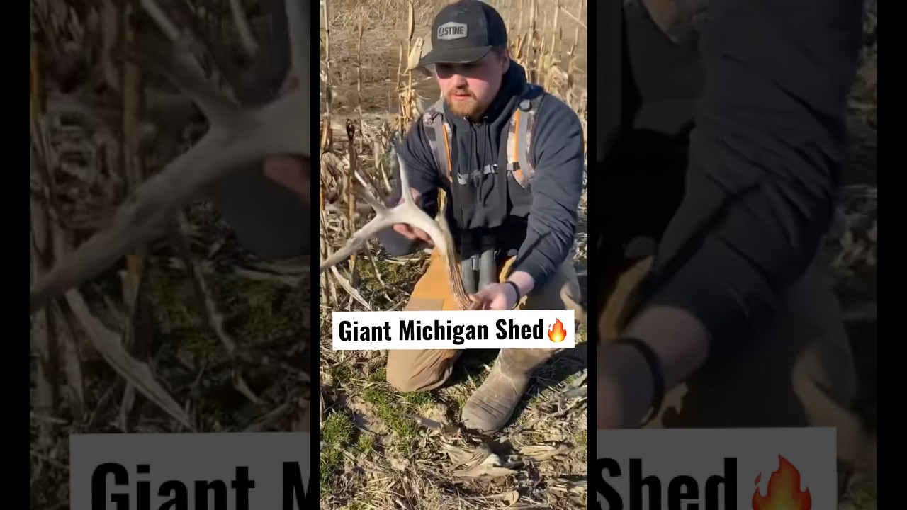 Slammer Shed Antler!👀 