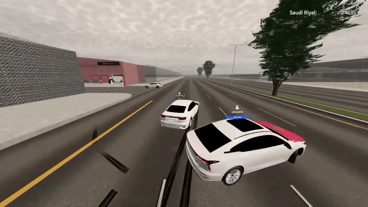 Roblox_20260214213306