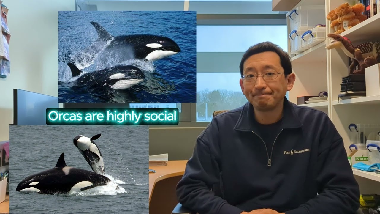 【アバター】トゥルクンのインスピレーションは？クジラとサメの解剖学 | 坂本生物学講座｜Sakamoto Talks Biology