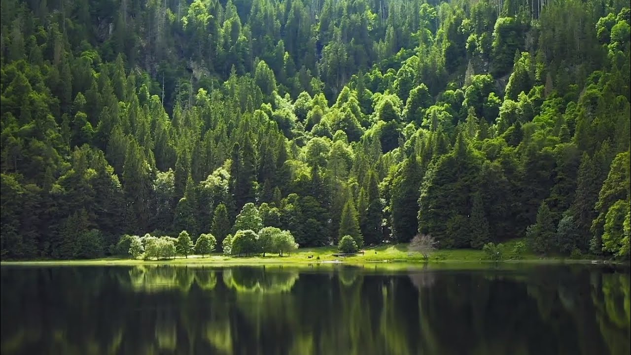 What&rsquo;s behind an Environmental Product Declaration?