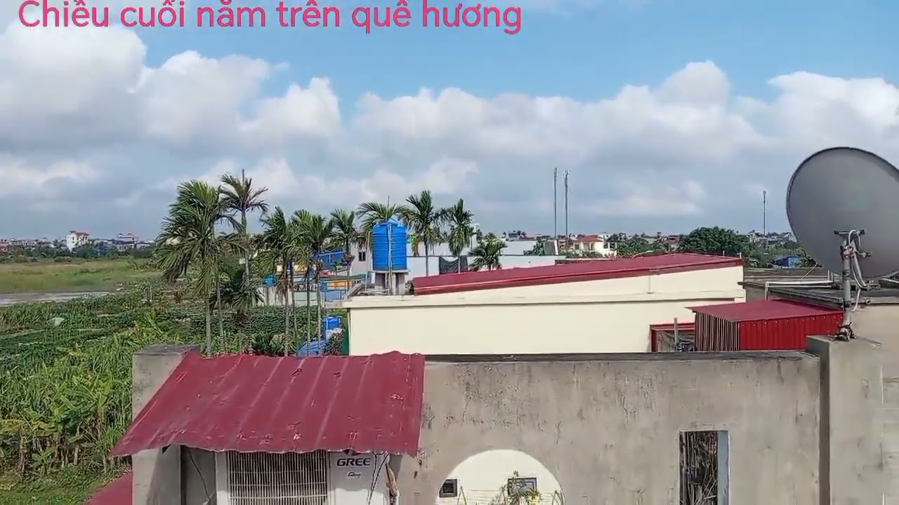 Chiều cuối năm trên quê hương 